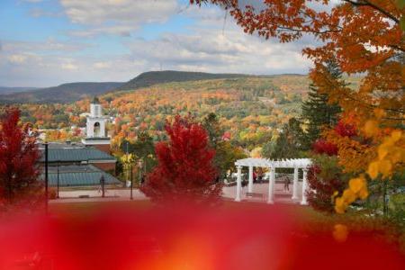 View of Yager Hall and Founders' Way on the Hartwick College campus